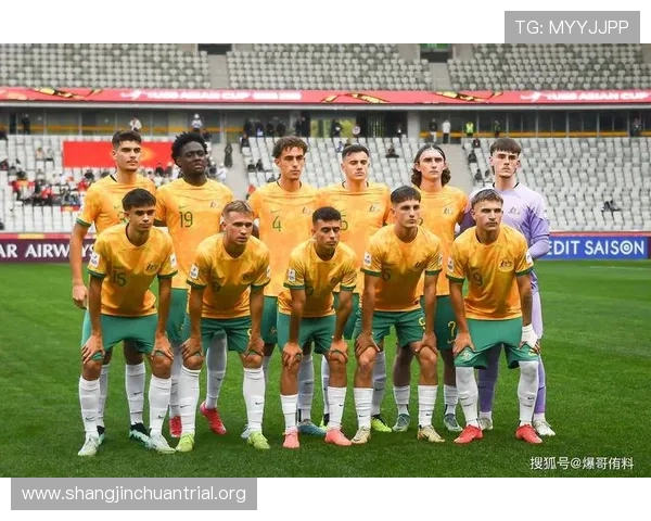 世界杯巴拉圭与澳大利亚比赛壁纸高清图片合集全景欣赏